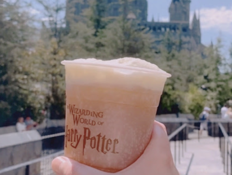 Wizarding World of Harry Potter in Los Angeles, California: Your Guide