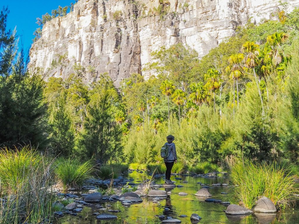 Carnarvon National Park, Main Walking Track, Queensland