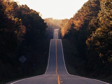 road in forest fall road trip in autumn