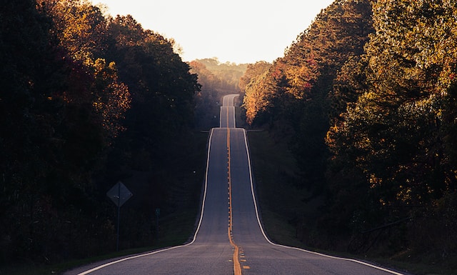 road in forest fall road trip in autumn