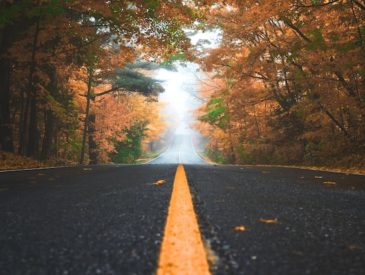 fall road trip - reasons to take a road trip in the fall