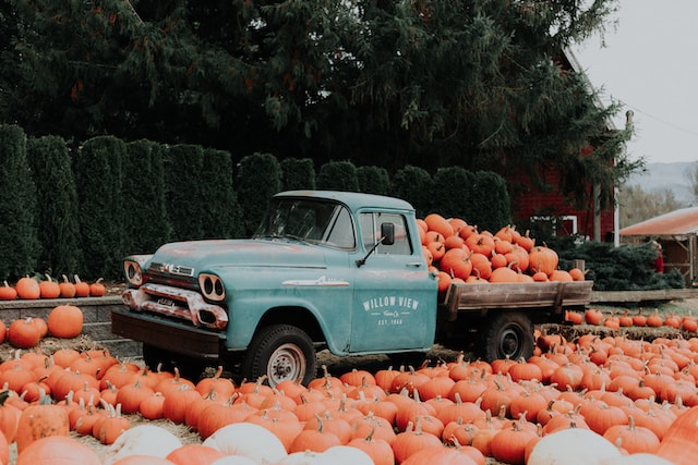 green pickup truck in pumpkin patch. reasons why a road trip in the fall is the best 