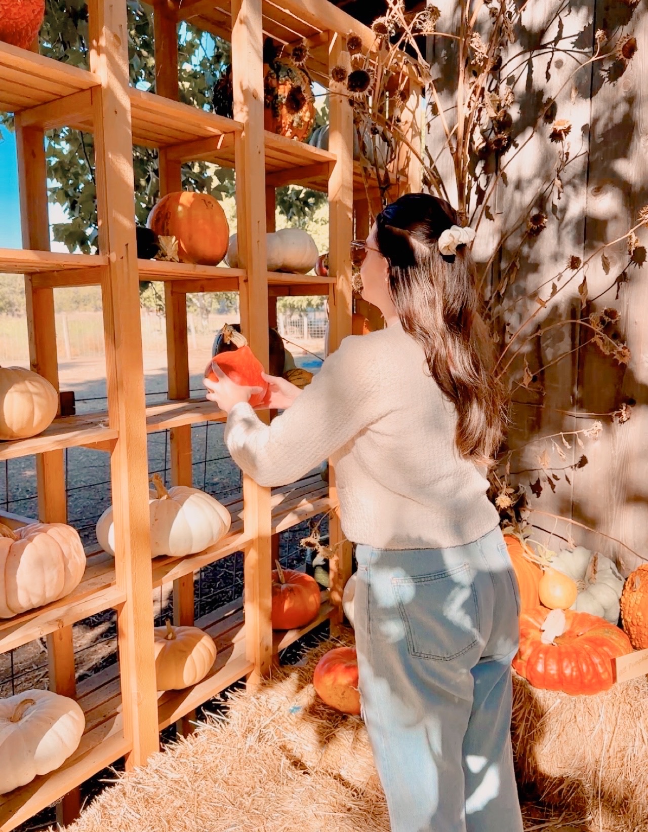 a girl at Chico in fall at the pumpkin patch